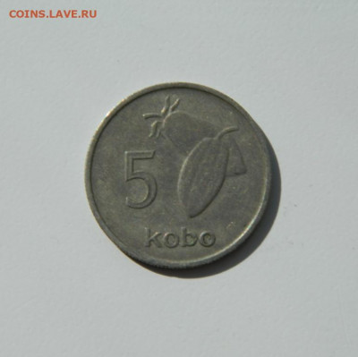 Нигерия 5 кобо 1973 г. до 07.04.20 - DSCN9918.JPG