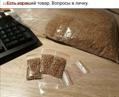 Инвестиции в монеты! - 0-02-05-bd4144a3_f90c0582