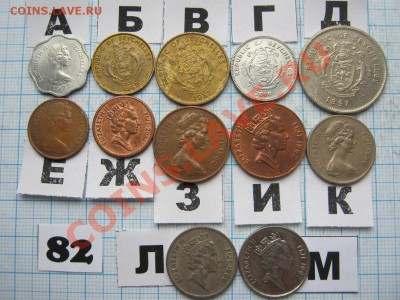 ЭКЗОТИКА-2. МНОГО ВСЯКОЙ РАЗНОЙ!!! ПОСТОЯННОЕ ПОПОЛНЕНИЕ!!! - 82-2.JPG