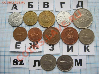ЭКЗОТИКА-2. МНОГО ВСЯКОЙ РАЗНОЙ!!! ПОСТОЯННОЕ ПОПОЛНЕНИЕ!!! - 82-1.JPG