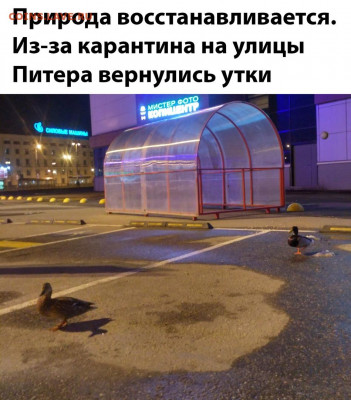 юмор - jQIZBjvoRs0