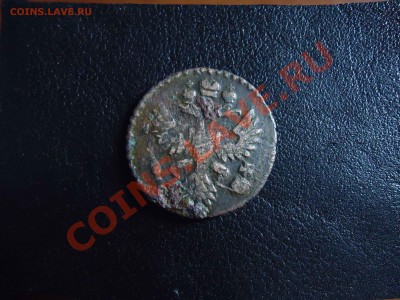 Полушка 1731 - полушка-2