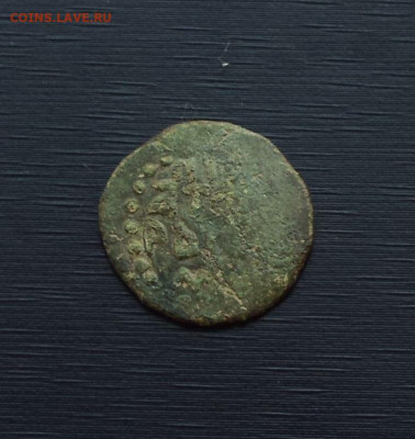 Пуло " птица " - птица вправо.