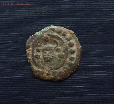 Пуло " Бык " - бык