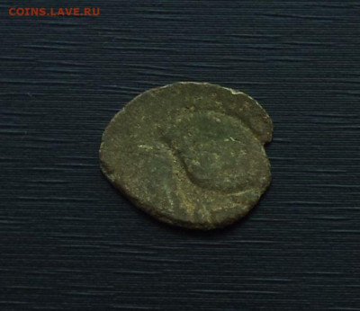 Пуло " птичка " - птичка.