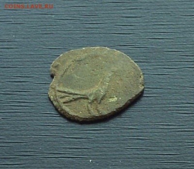 Пуло " птичка " - птичка