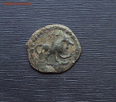 Пуло " Зверь " - зверь вправо