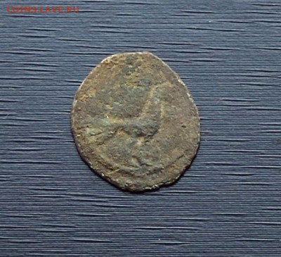  птица " - птица вправо 1