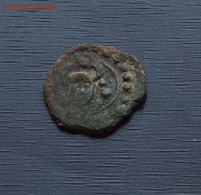 Пуло " Бык " - бык 1