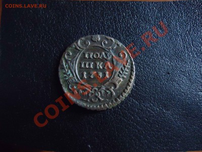 Полушка 1731 - полушка