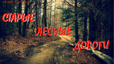 Видео о кладоискательстве от канала Коп с Андреечем. - wallpaper-2723408