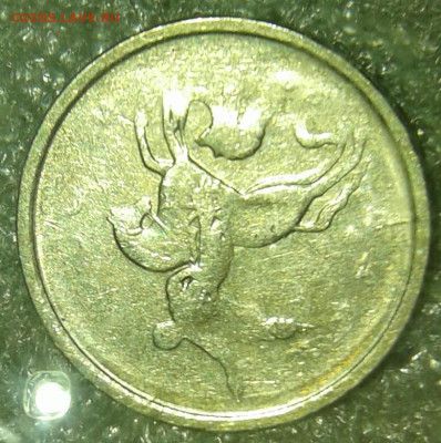 Браки на 1 копейке - 20200404_105822-1