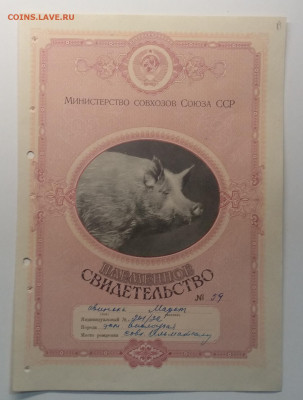 Племенное свид - во(свинка)Мин.совхозов Союза ССР 1958 г. - IMG_20200401_080221