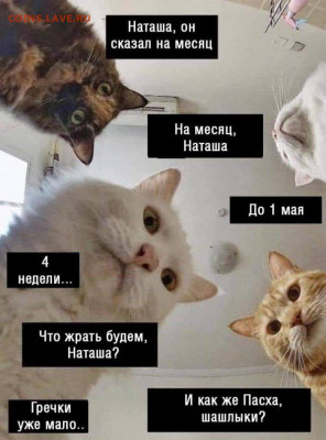 N-CoV(CoronaVirus) КоронаВирус.Последние новости - 1585905394_pressa_tv_memes_23