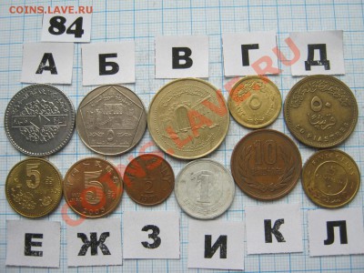 ЭКЗОТИКА-2. МНОГО ВСЯКОЙ РАЗНОЙ!!! ПОСТОЯННОЕ ПОПОЛНЕНИЕ!!! - 84-1.JPG