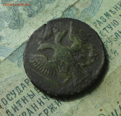 Денга 1743 года крыло 15 перьев. До 12.04.20. - DSC09450.JPG