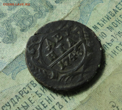 Денга 1743 года крыло 15 перьев. До 12.04.20. - DSC09444.JPG