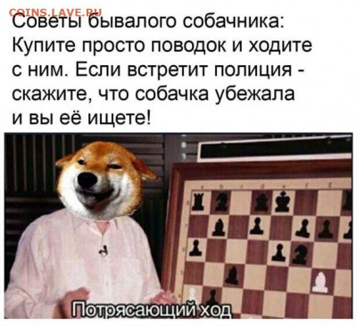 юмор - 3-23