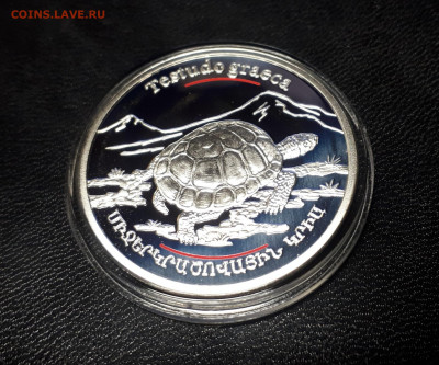 Серебро Армения 100 драмов, 2006 Черепаха до 13.04 - 1 (5)