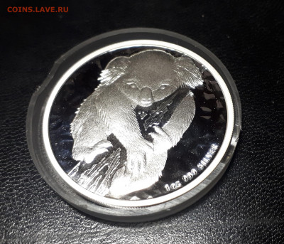 Серебро Австралия 1 доллар, 2007 Коала до 13.04 - 1 (17)