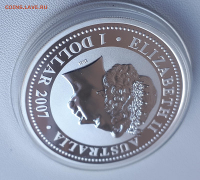 Австралия 1 доллар, 2007 Год тигра позолоченного до 14.04. - 1 (55)