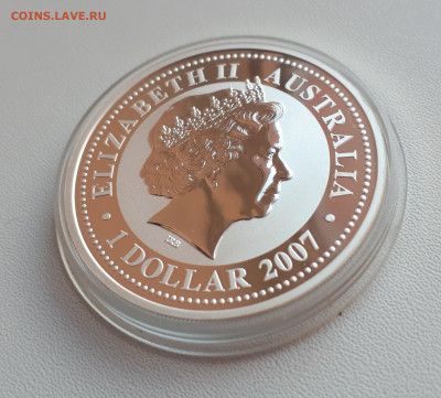 Австралия 1 доллар, 2007 Год тигра позолоченного до 14.04. - 1 (48)