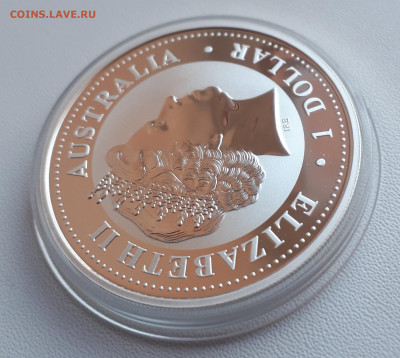 Австралия 1 доллар, 2006 Год собаки позолоченной до 14.04 - 1 (71)