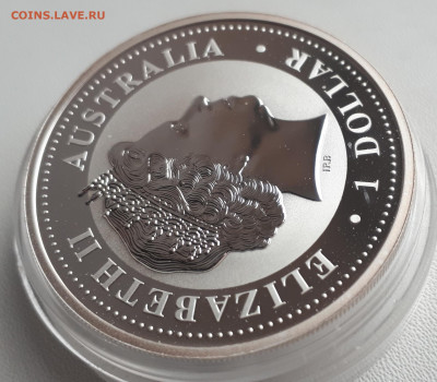 Серебро Австралия 1 доллар, 2007 Год свиньи до 13.04 - 1 (5)