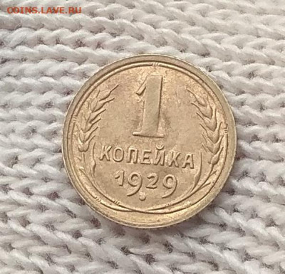 1 копейка 1929 года. Оценка . - IMG_20200411_100058