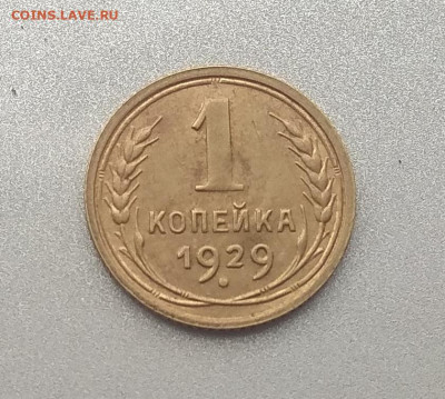 1 копейка 1929 года. Оценка . - IMG_20200411_100012