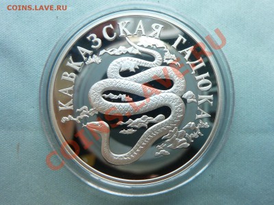 1руб. КРАСНАЯ КНИГА 1999г.ГАДЮКА,ЁЖ,ЧАЙКА.ПРУФ  до 3.09.11 - MEMO0005.JPG