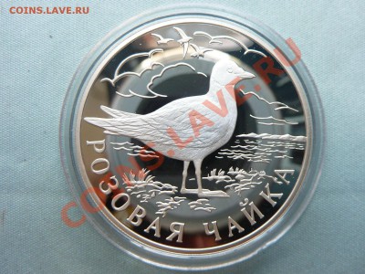1руб. КРАСНАЯ КНИГА 1999г.ГАДЮКА,ЁЖ,ЧАЙКА.ПРУФ  до 3.09.11 - MEMO0003.JPG