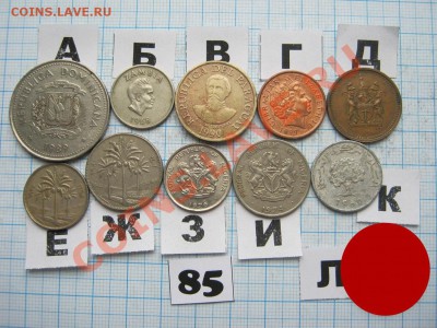 ЭКЗОТИКА-2. МНОГО ВСЯКОЙ РАЗНОЙ!!! ПОСТОЯННОЕ ПОПОЛНЕНИЕ!!! - 85-2.JPG