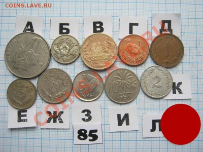 ЭКЗОТИКА-2. МНОГО ВСЯКОЙ РАЗНОЙ!!! ПОСТОЯННОЕ ПОПОЛНЕНИЕ!!! - 85-1.JPG