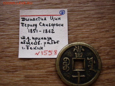 оценку - IMG_4925.JPG