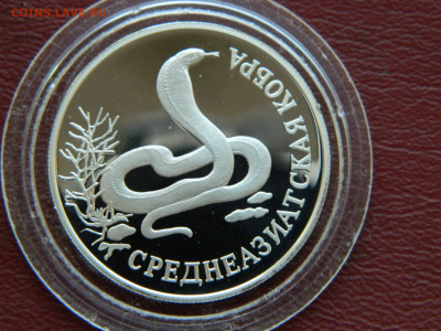 1рубль. Среднеазиатская кобра. до 16.04.2020 22-00 - DSCN5093