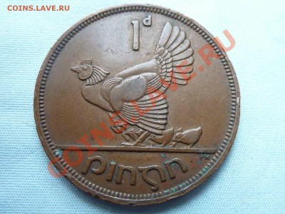 EIRE  1пенни 1942г. НАСЕДКА с ЦЫПЛЯТАМИ до 3.09.11 - MEMO0024.JPG