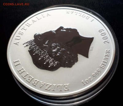 Серебро Австралия 1 доллар, 2009 Год быка Цветная до 15.04 - 1 (16)