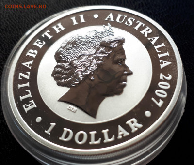 Серебро Австралия 1 доллар, 2007 АвстралийскаяКоала до 15.04 - 1 (29)