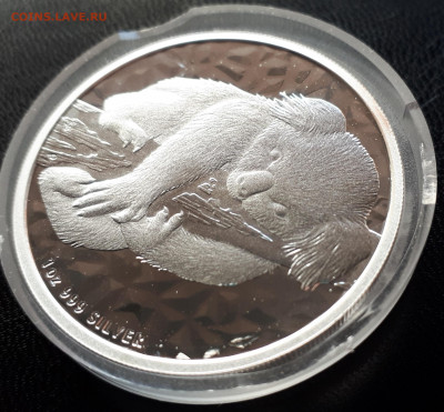 Серебро Австралия 1 доллар, 2007 АвстралийскаяКоала до 15.04 - 1 (26)