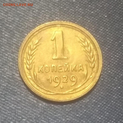 1 копейка 1929 года. Оценка . - IMG_20200411_212735