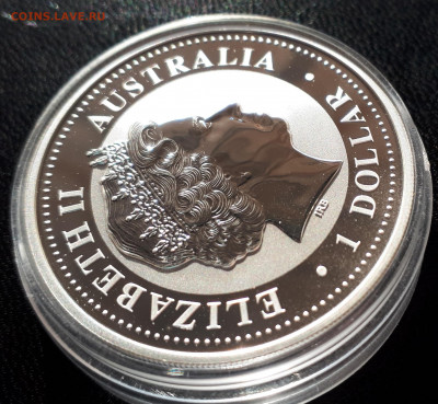 Серебро Австралия 1 доллар, 2006 Год собаки. Цветная - 1 (40)
