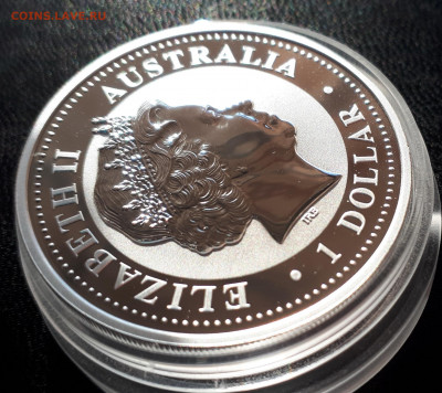Серебро Австралия 1 доллар, 2007 Год свиньи.Цветная до 15.04 - 1 (48)