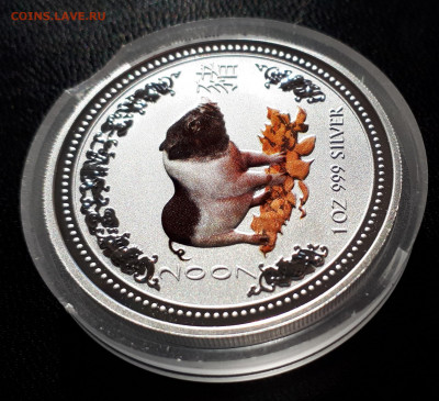Серебро Австралия 1 доллар, 2007 Год свиньи.Цветная до 15.04 - 1 (44)