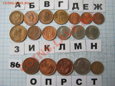 ЭКЗОТИКА-2. МНОГО ВСЯКОЙ РАЗНОЙ!!! ПОСТОЯННОЕ ПОПОЛНЕНИЕ!!! - IMG_3364.JPG
