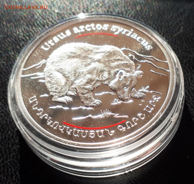 Серебро Армения 100 драмов, 2006 Бурый медведь до 15.04.20 - 1 (95)