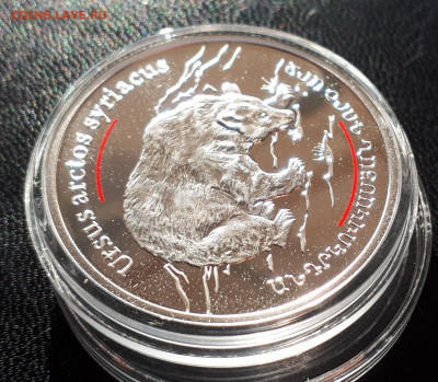 Серебро Армения 100 драмов, 2006 Бурый медведь до 15.04.20 - 1 (94)