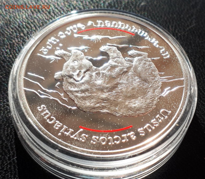 Серебро Армения 100 драмов, 2006 Бурый медведь до 15.04.20 - 1 (93)