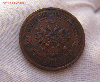 5к 1911г - IMG_8208.JPG