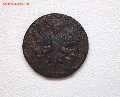 Полушки 1734-38года 5 шт на определение - 6
